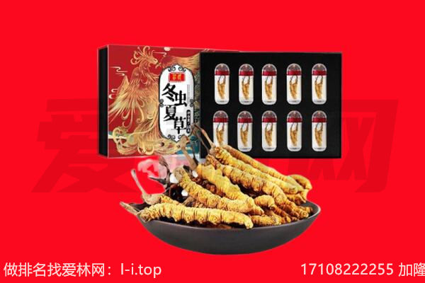 泗水县回收虫草.jpg